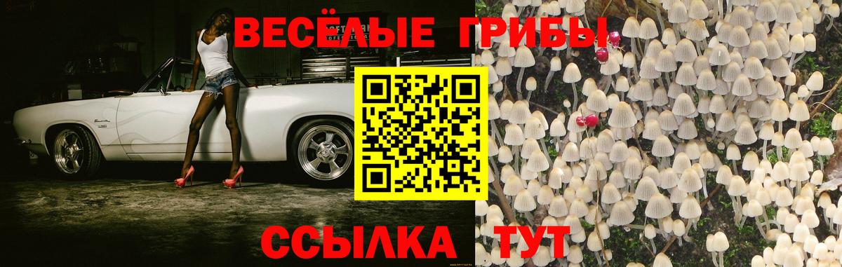 Галлюциногенные грибы Cubensis  Галлюциногенные грибы прущие грибы  Вход с VPN  Гулькевичи 